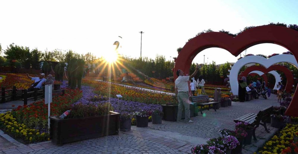 Türkiye'nin en renkli bahçelerinden biri Konya'da