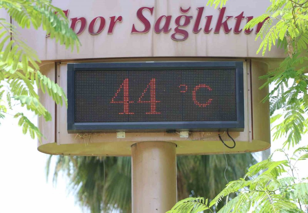 El Nino sıcakları onlara işlemiyor