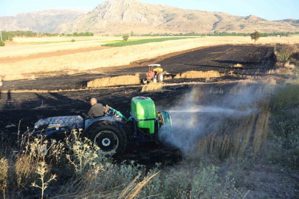 Elektrik direğinden sıçrayan kıvılcımlar 8 dönüm araziyi kül etti