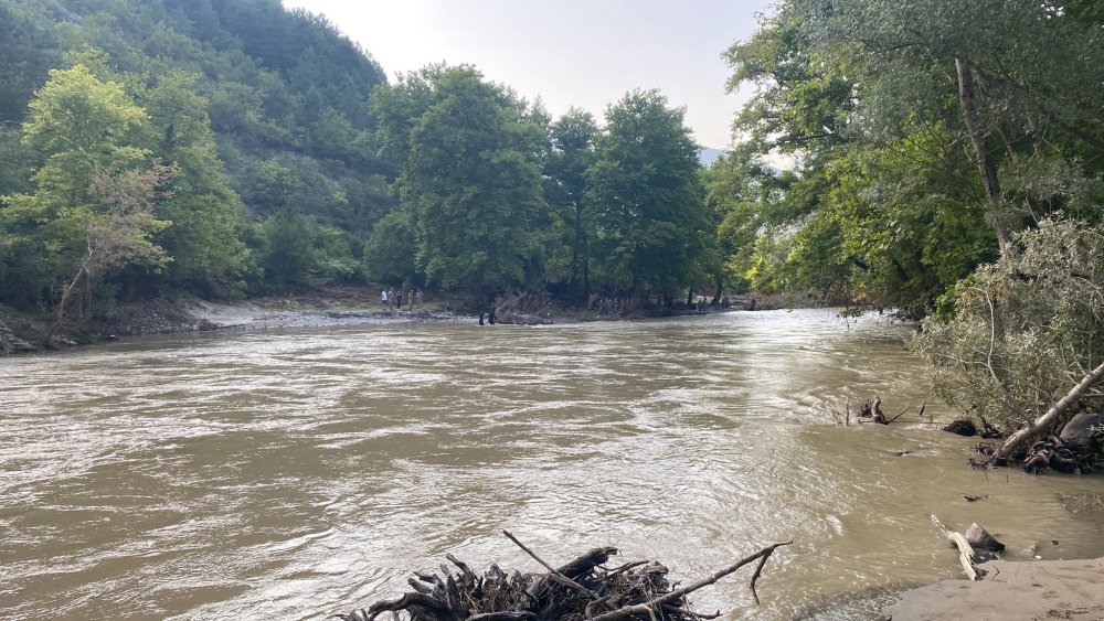 Dereye girip akıntıya kapıldı