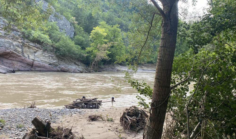 Dereye girip akıntıya kapıldı