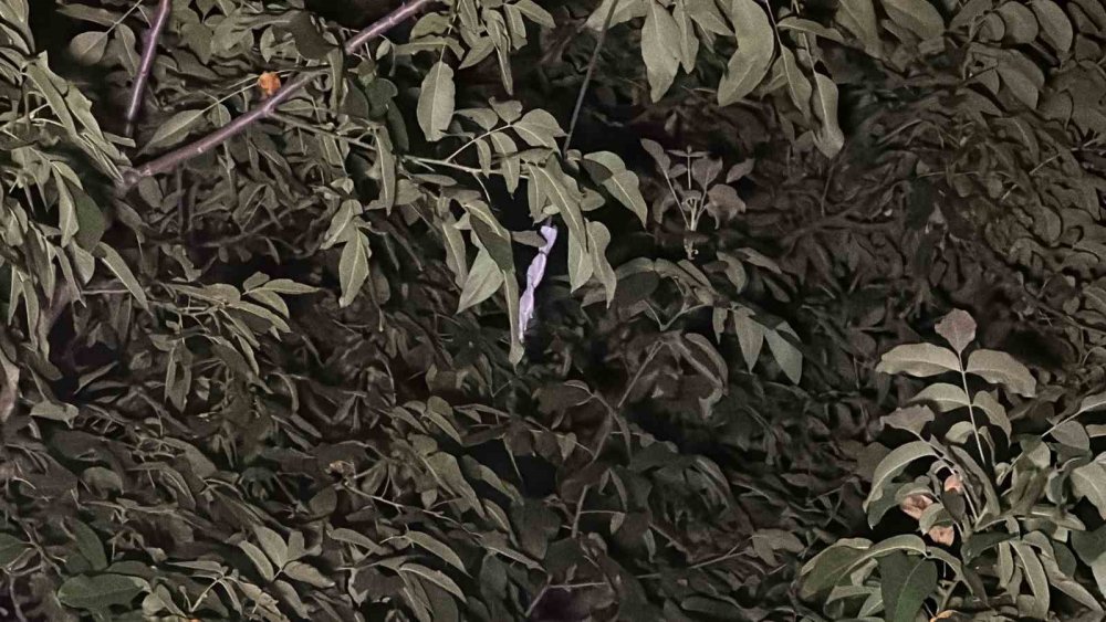 Patlama sesi mahalleliyi sokağa döktü