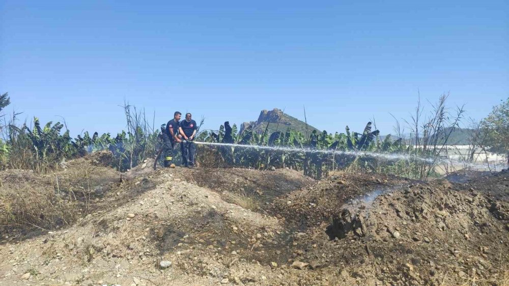 Muz bahçesinde korkutan yangın