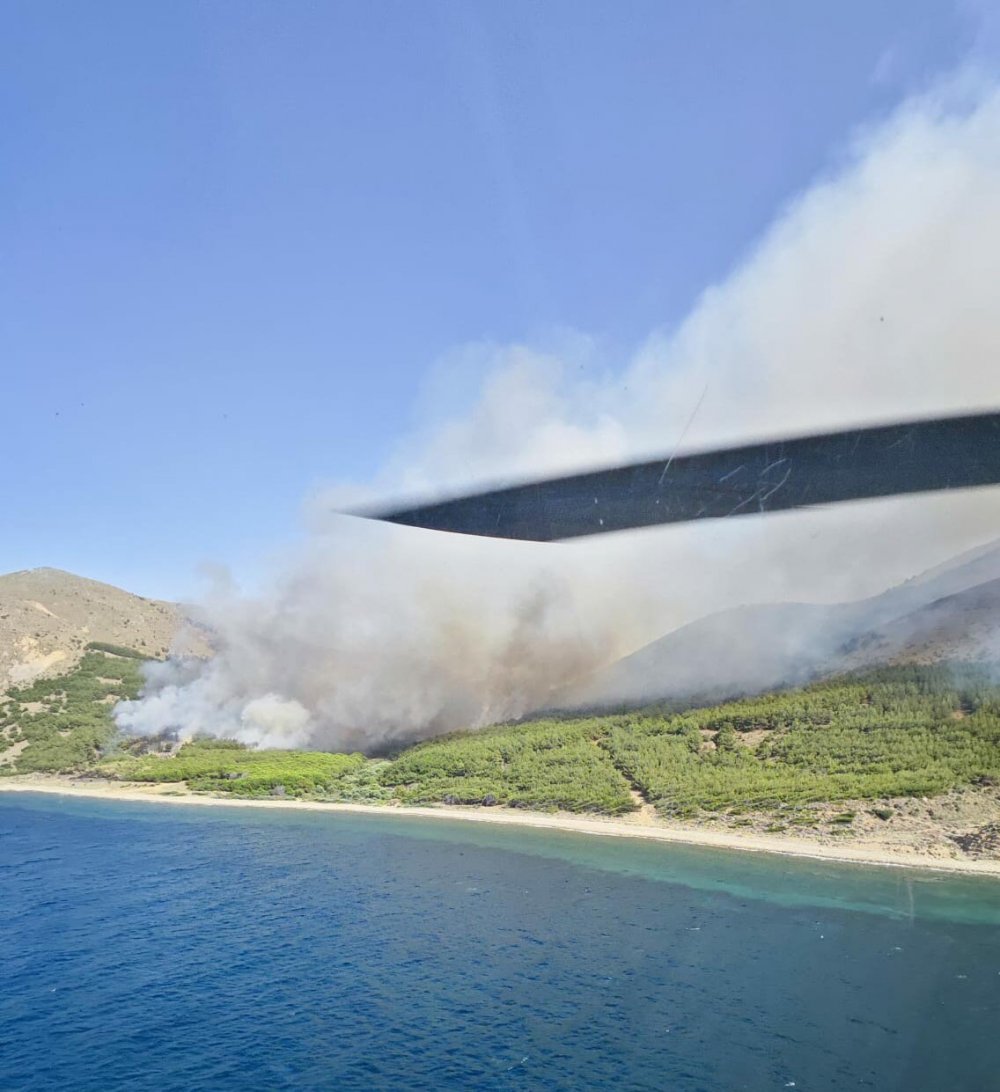 Orman yangını, 16,5 saat sonra kontrol altında