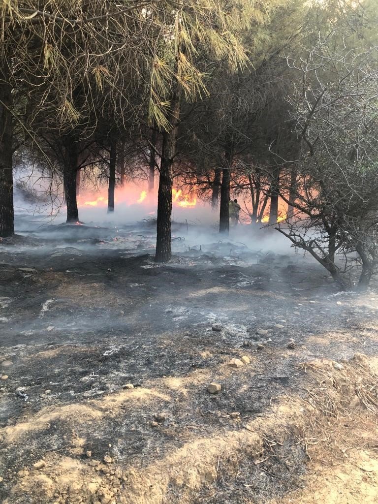 Orman yangını kontrol altına alındı