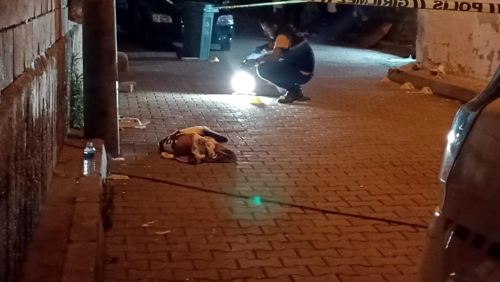 Baba ve oğlunu, kızını dövdükleri için vurmuş