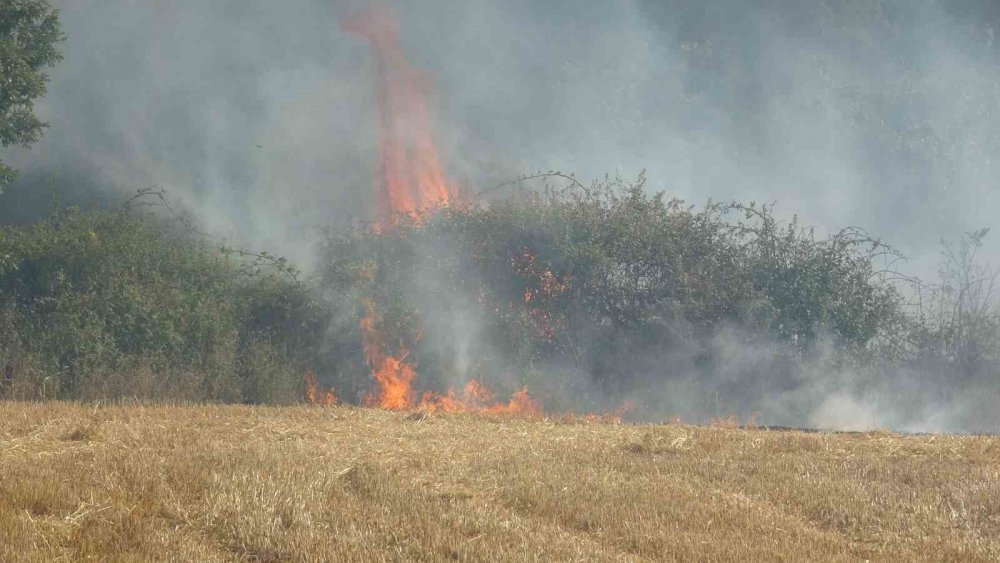 Çanakkale Valisi İlhami Aktaş: "Yaralı ve can kaybımız yok"