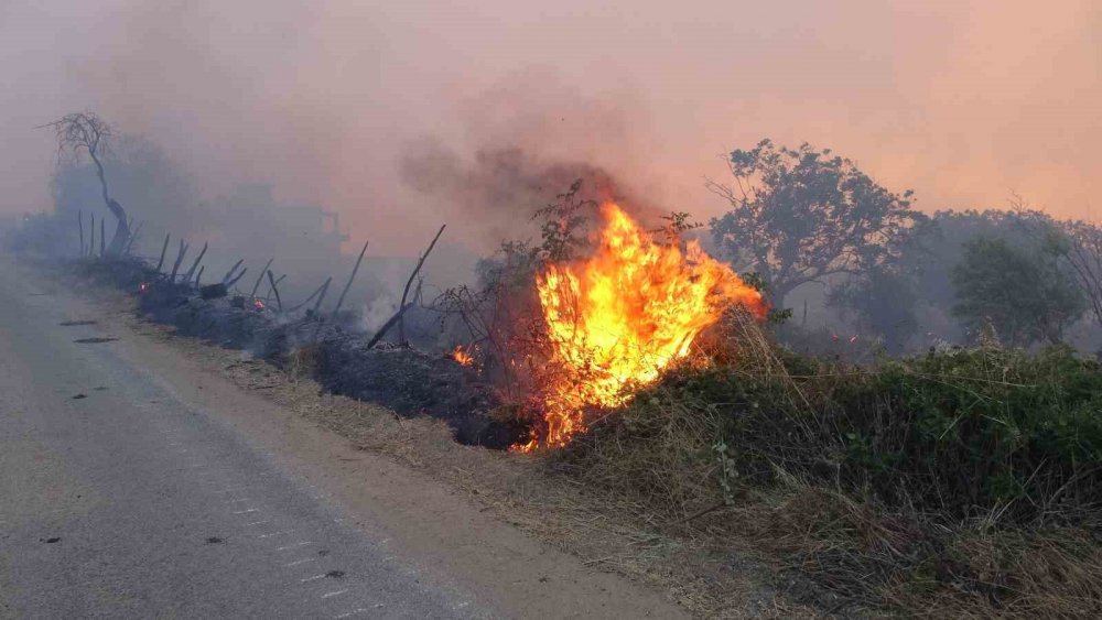 Çanakkale Valisi İlhami Aktaş: "Yaralı ve can kaybımız yok"