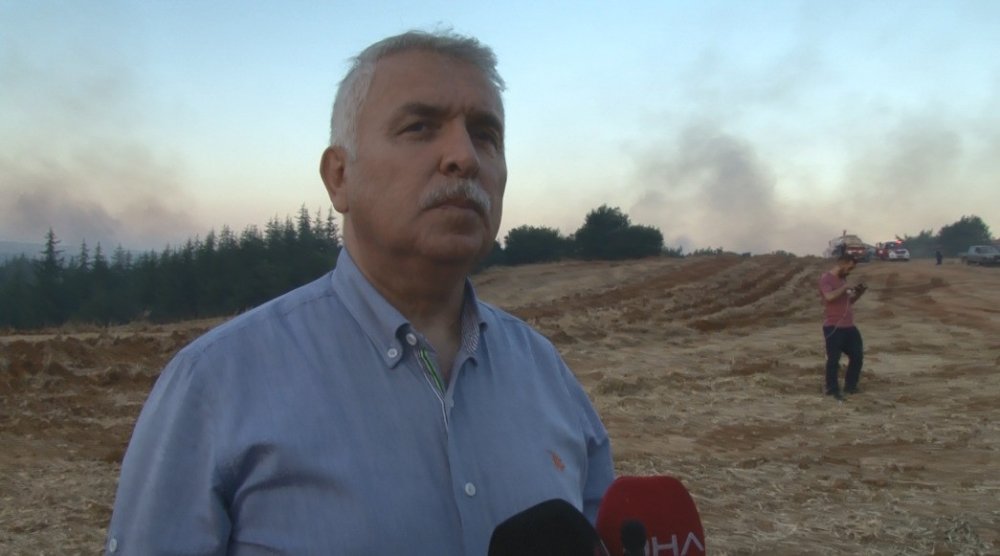 Tekirdağ’daki yangında 300 hektar ormanlık alan küle döndü