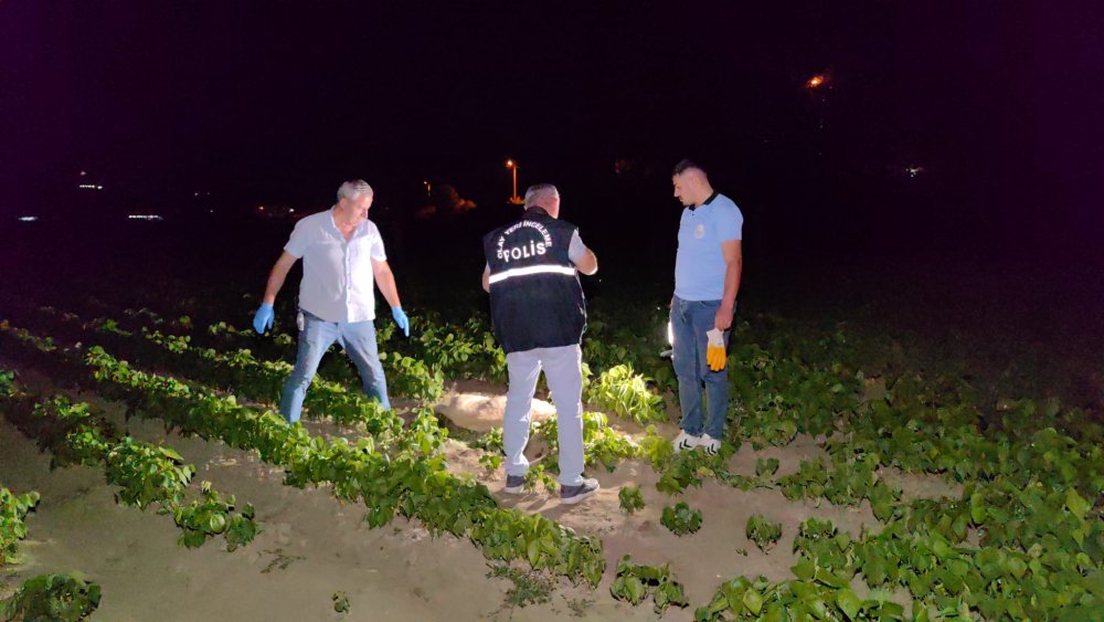 Bursa'da sokak köpeği av tüfeği ile vurularak öldürüldü