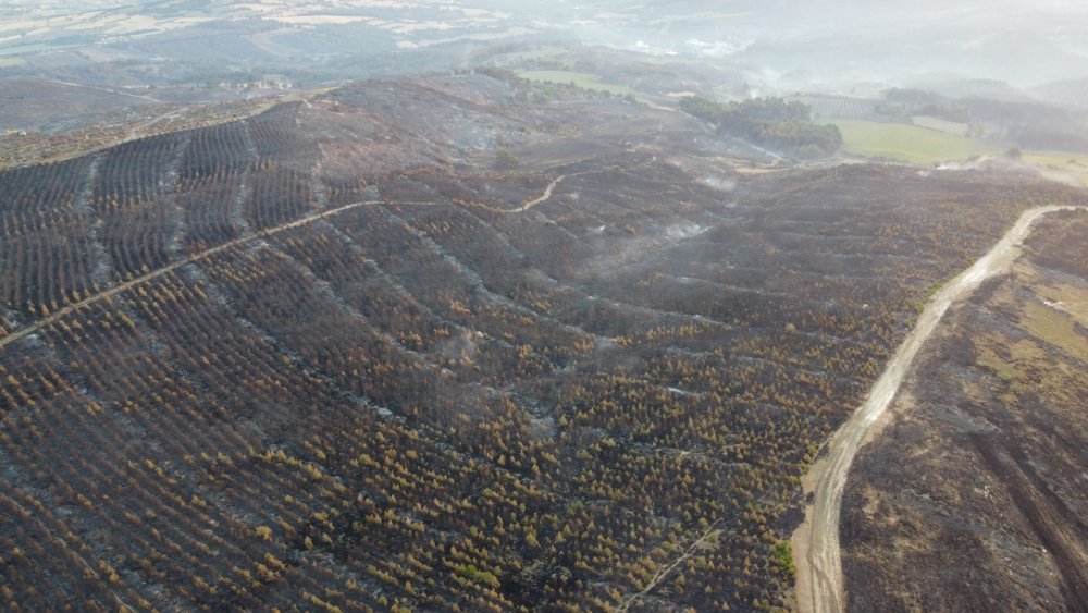 Çanakkale'de yanan alanlar dron ile havadan görüntülendi