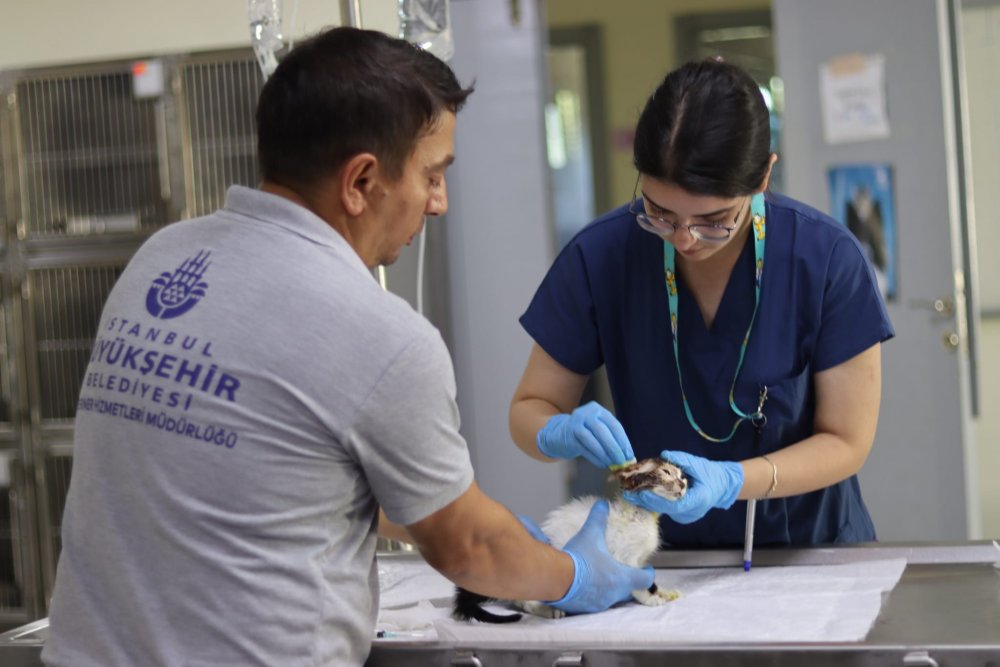 Asit dökülmüştü, yaraları sarılıyor