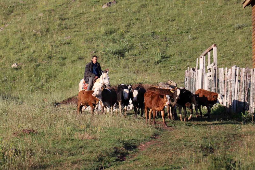 Türkiye sıcaklık rekorları kırıyor! O ildekiler soba yakıyor