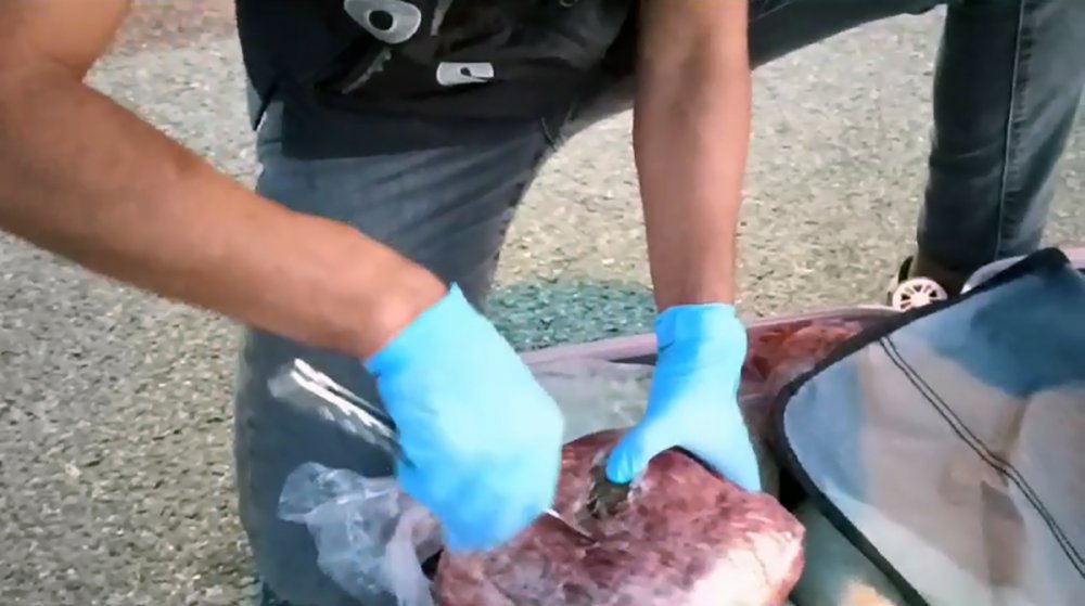 Salça sürülen paketlerdeki uyuşturucuyu ‘Barbara’ buldu