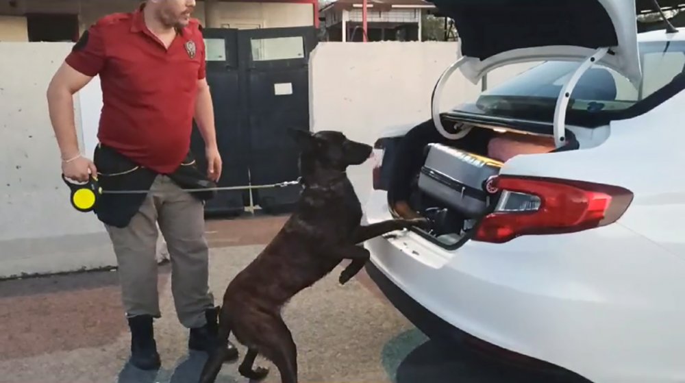 Salça sürülen paketlerdeki uyuşturucuyu ‘Barbara’ buldu