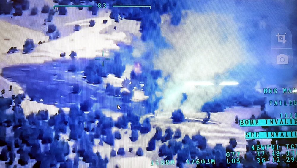 Adana'da anız yangını ormana sıçradı