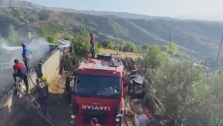 Ahırda çıkan yangında 2 inek öldü