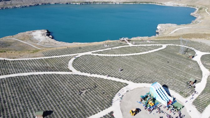 Karapınar'da lavanta festivali düzenlendi