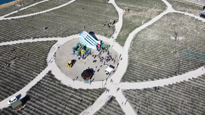 Karapınar'da lavanta festivali düzenlendi