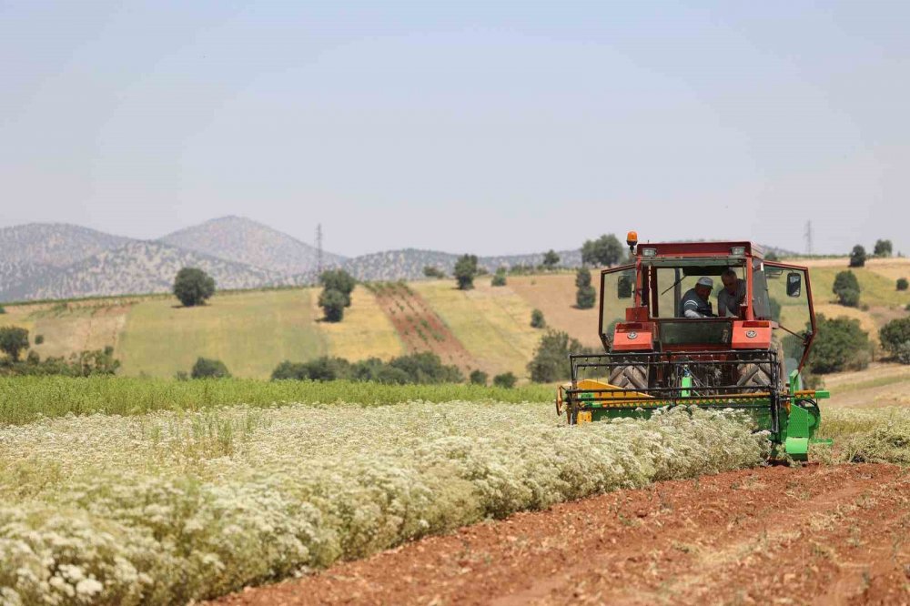 Konya Büyükşehir'den tarımda alkışı hak eden hamle