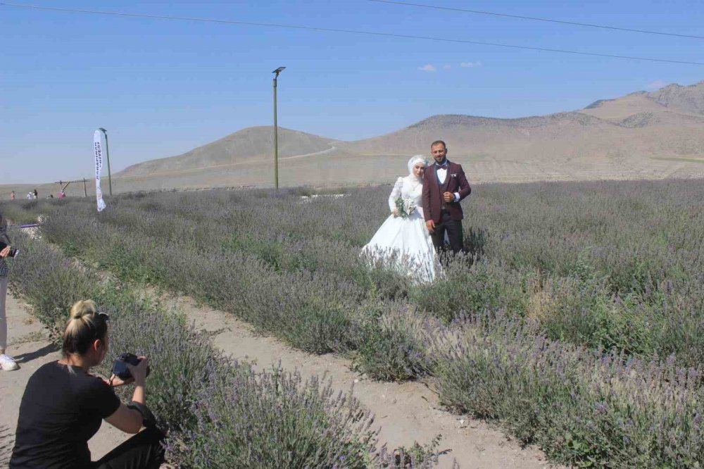 Konya'da evlenecekler buraya koşuyor