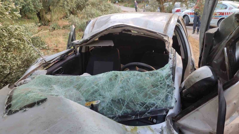 Otomobil zeytinliğe daldı: 1 ölü, 1 yaralı