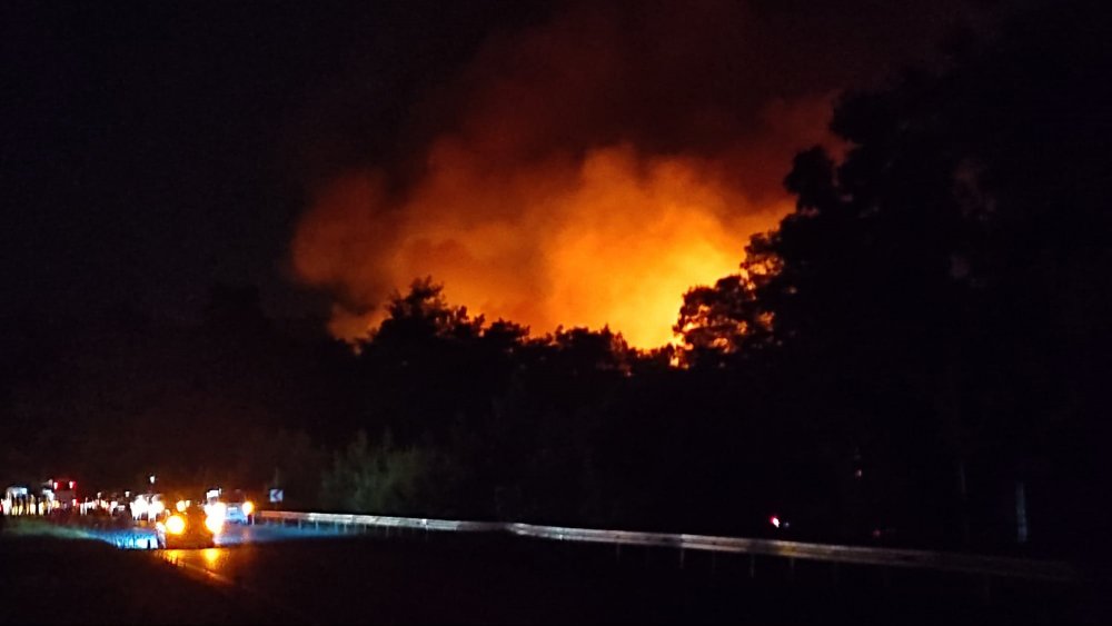 Bir ilde daha orman yangını çıktı
