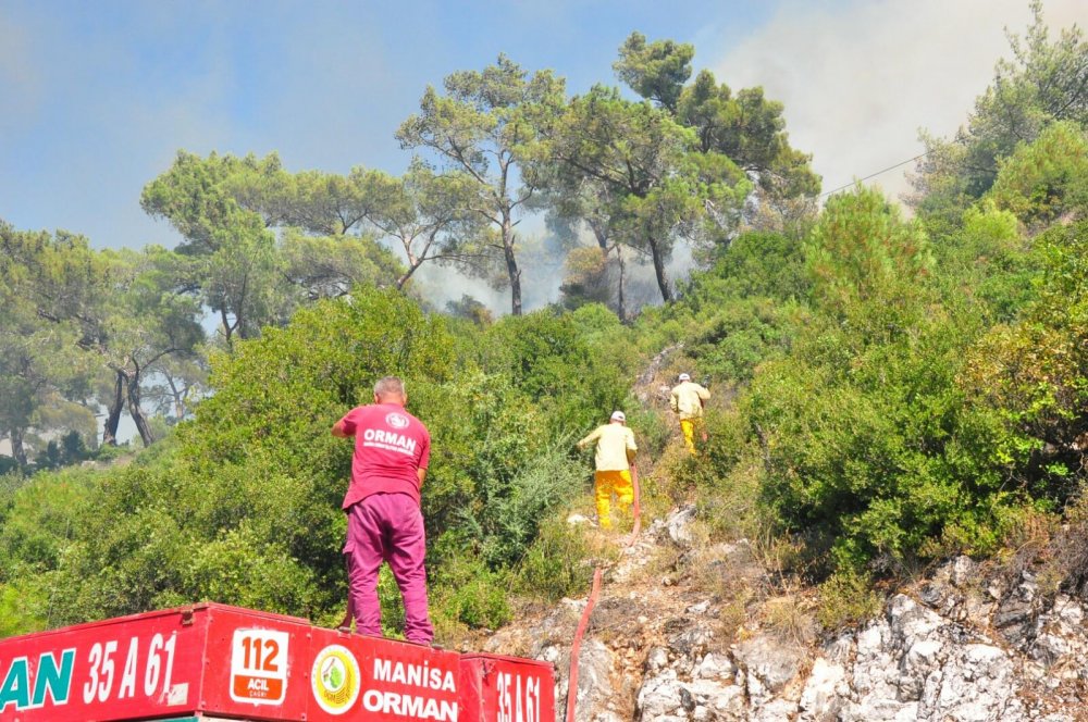 Bir orman yangını daha!