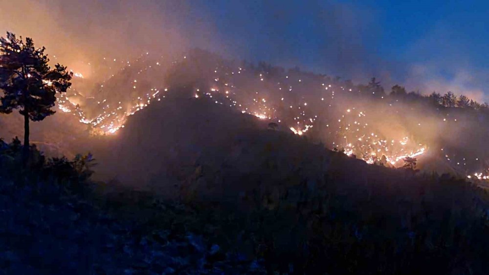 Kahramanmaraş’ta orman yangınına müdahale sürüyor
