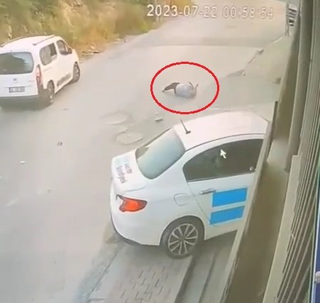 Ehliyetsiz sürücü 4 kişiye çarptı