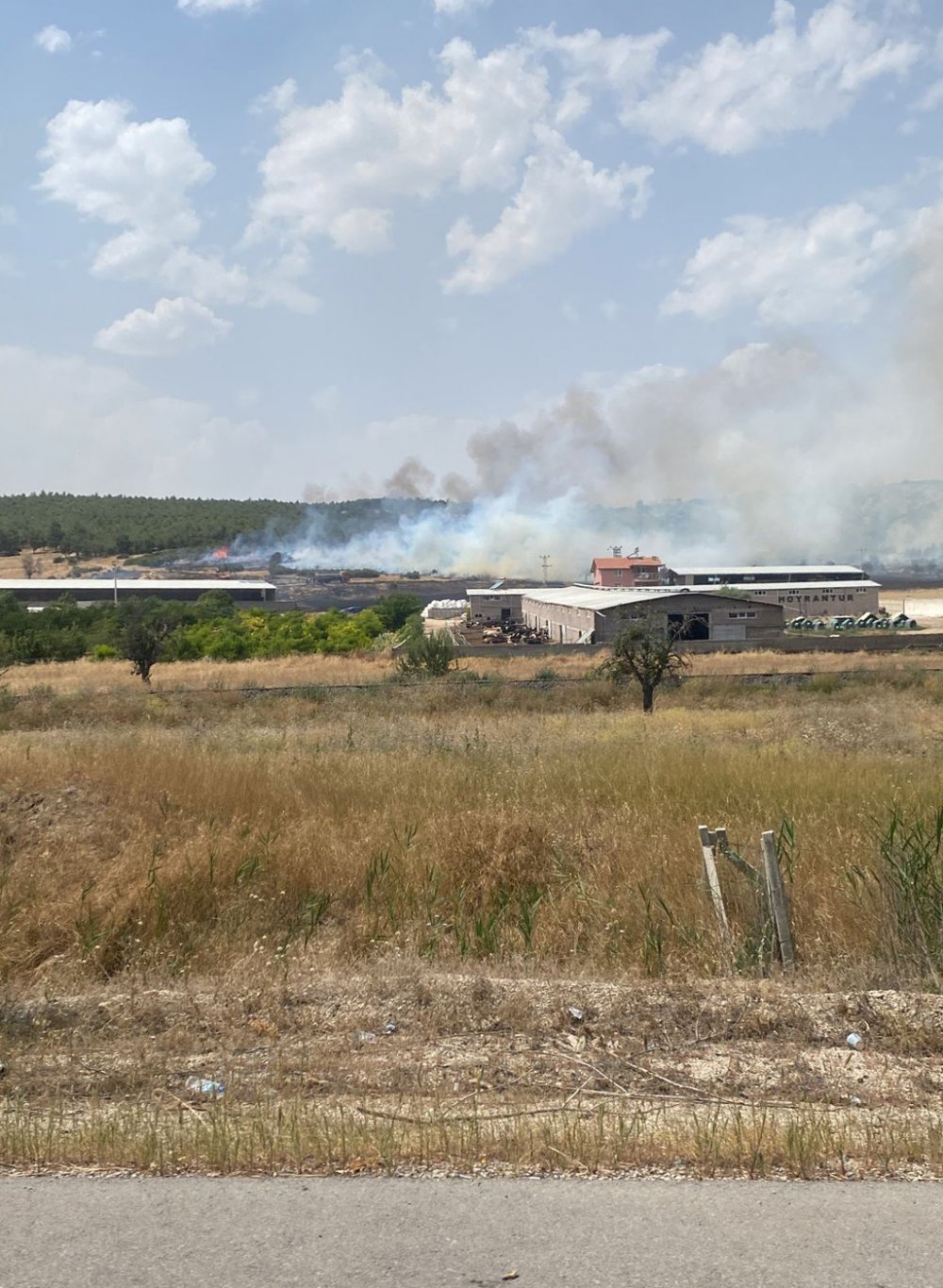Isparta'da anız yangınında alevler ormana sıçradı