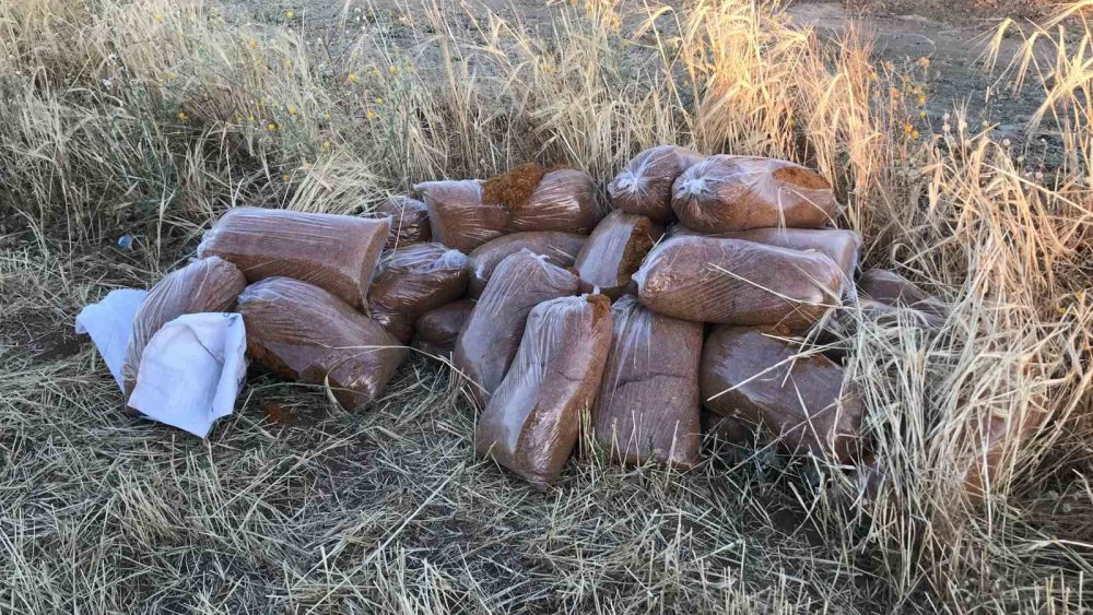 Hafif ticari araca tren çaptı: Yaralı sürücü canının yerine taşıdığı kaçak tütünü saklamanın derdine düştü