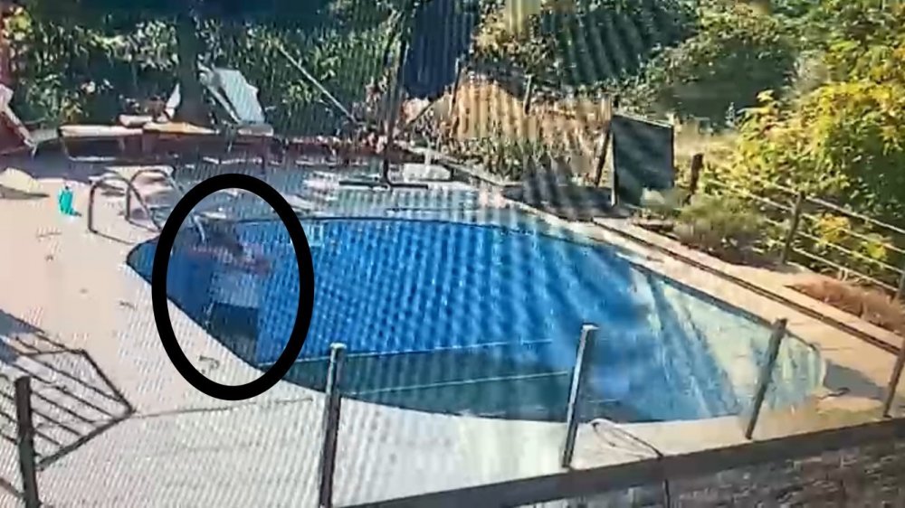 Havuzda elektrik akımına kapıldı, sağ kurtuldu