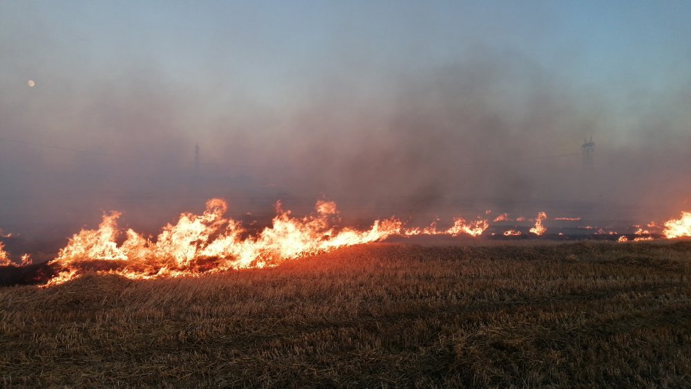 Otluk alanda bulunan saman balyaları alev alev yandı