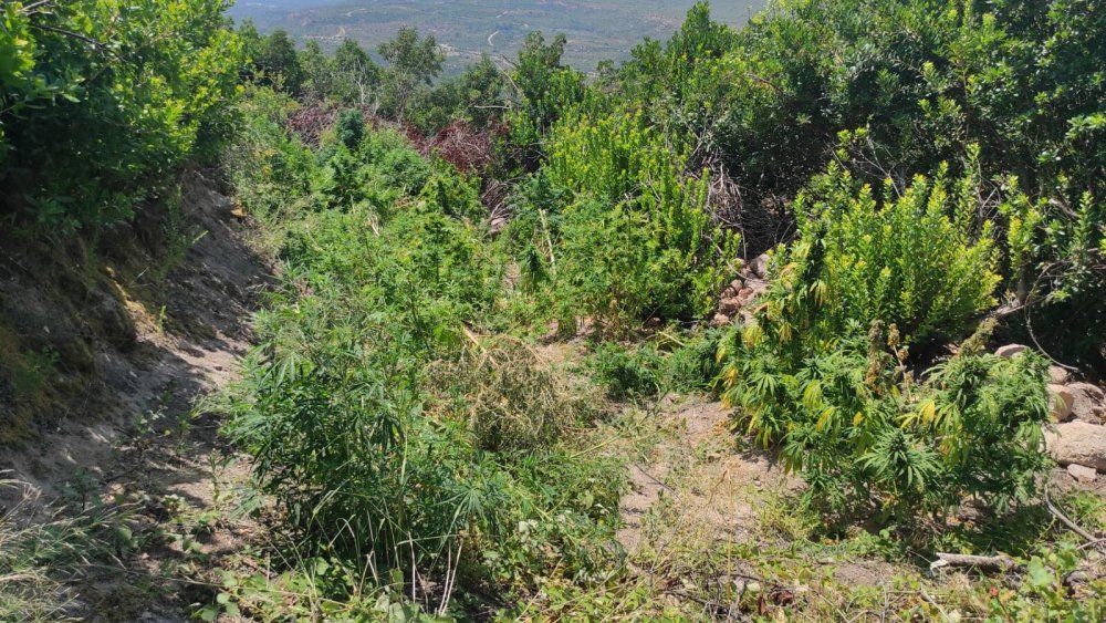 Uyuşturucu operasyonlarında 30 gözaltı