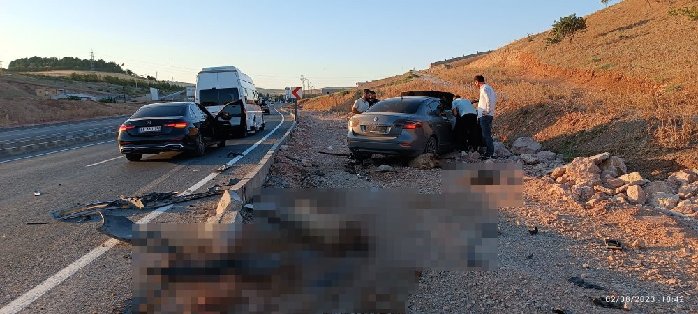 Otomobil küçükbaş sürücüne daldı: 2 yaralı, 4 koyun öldü