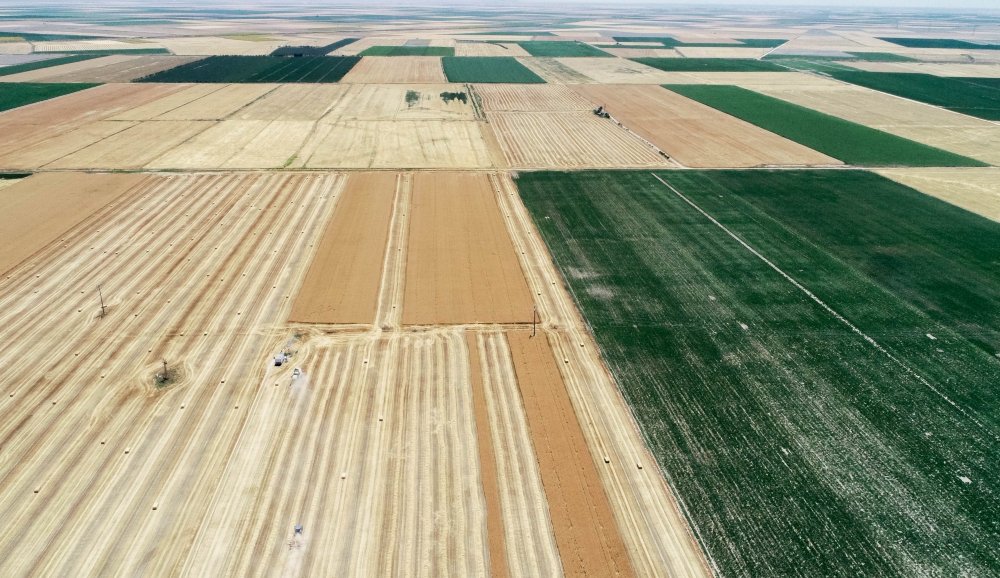 Konya Ovası'nda su gerçeği! 30 yıl önce 30 metreydi şimdi ise..