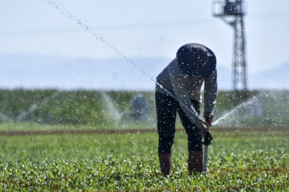 Konya Ovası'nda su gerçeği! 30 yıl önce 30 metreydi şimdi ise..