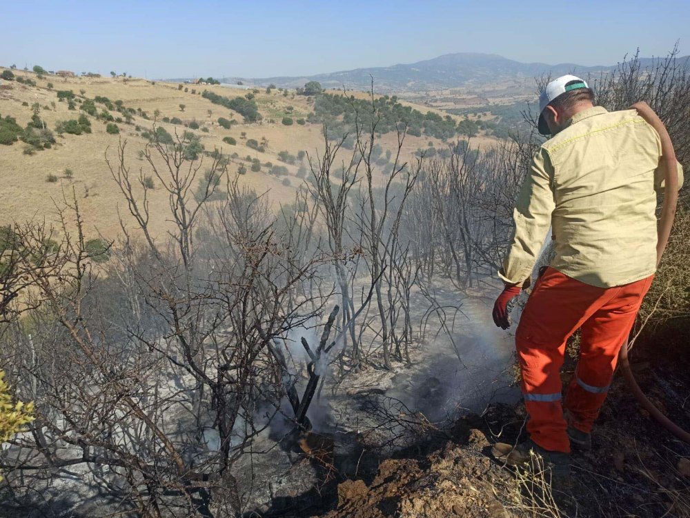 Orman yangını büyümeden söndürüldü