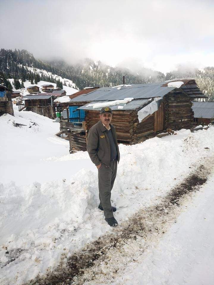 Yamaçtan yuvarlanan ağaç kamyonete çarptı: 1 ölü, 1 yaralı