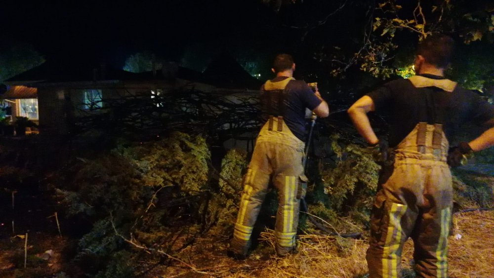 Alev alev yanan asırlık çam ağacı paniğe neden oldu