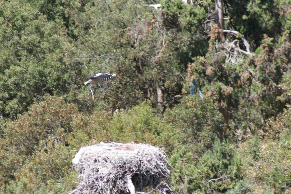 Göç başladı, Konya sessizliğe büründü
