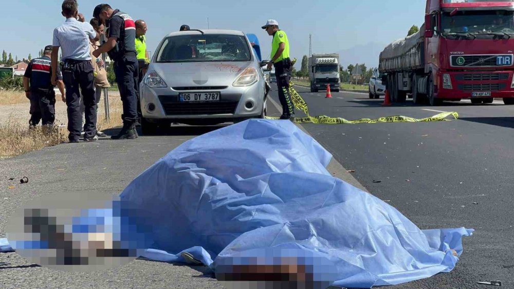 Arızalanan aracını emniyet şeridine çeken sürücü canından oldu