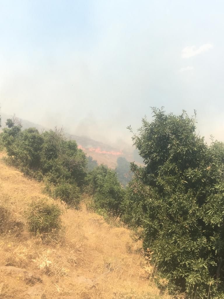 Bingöl'de çıkan orman yangını 7 saatte kontrol altına alındı