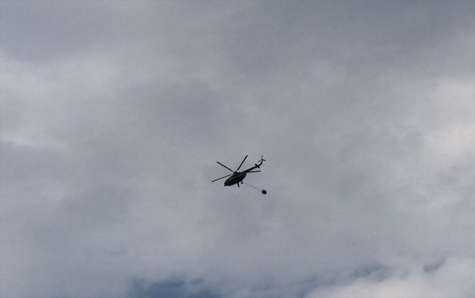 Bir orman yangını daha!