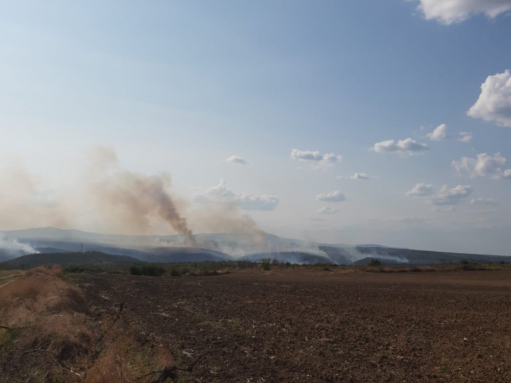 Bulgaristan-Türkiye sınırında orman yangını