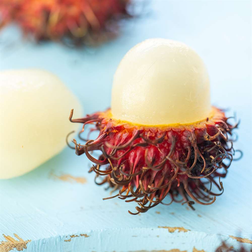 rambutan-paket-303bad.jpg