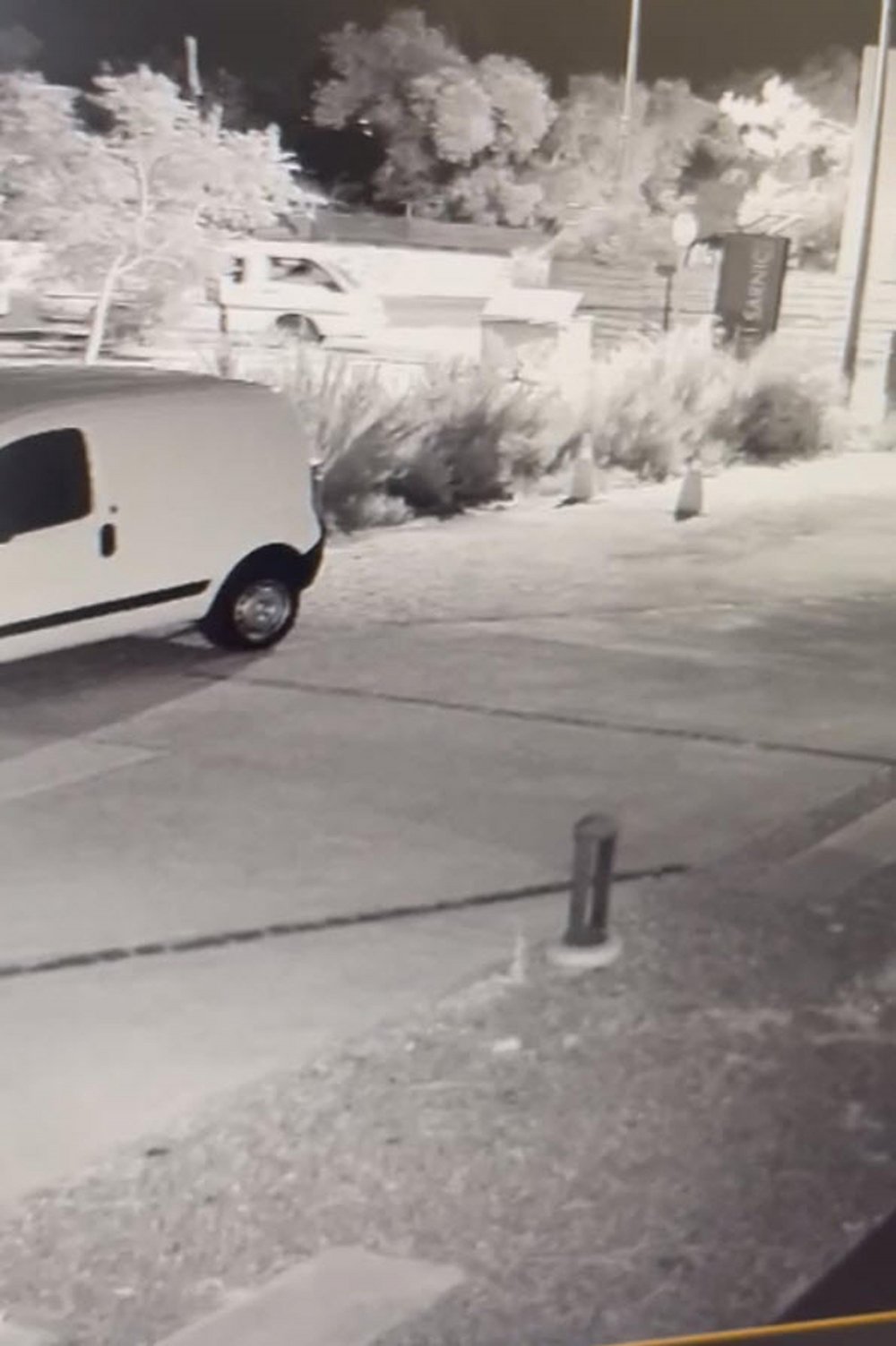 Motosikleti kamyonete yükleyip çaldılar; o anlar kamerada