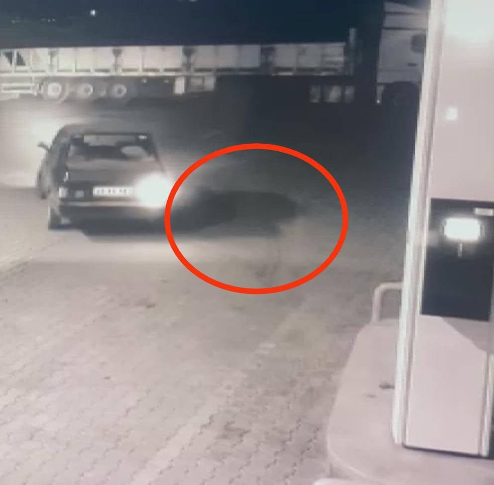 Dalgın Konyalı az daha felakete yol açıyordu