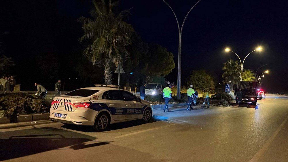 Hafif ticari araç, ağaca ve aydınlatma direğine çarptı: 2 ölü